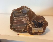  Thunderegg fr&aring;n  Polen