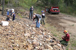 Fl&auml;skgruvevarpen